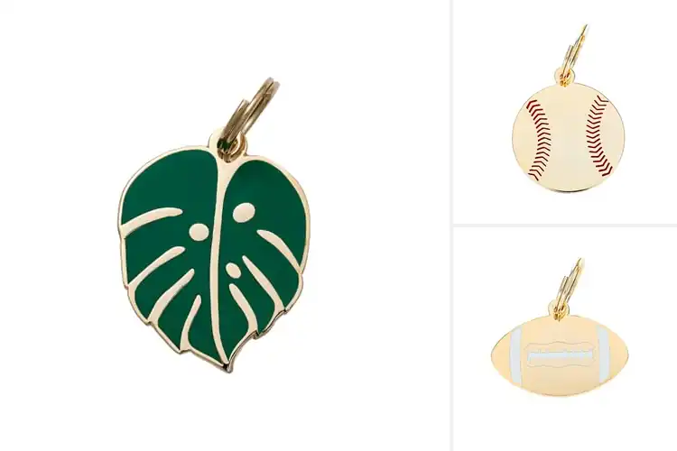 Detailed view of Best Brass Pet Tags With Gold Plating