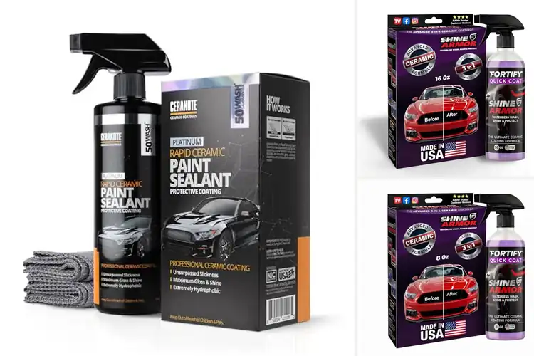 Detailed view of Best Car Paint Protection