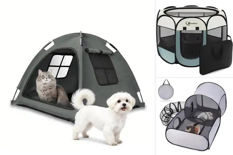 Detailed view of Best Cat Tents: Top 10 Cozy Retreats for Your Feline Friend