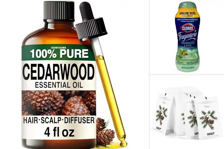 Detailed view of Best Cedarwood Scents