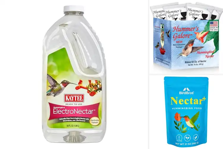 Detailed view of Best Dye Free Hummingbird Foods