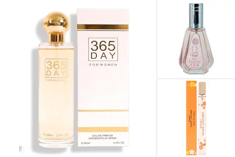 Detailed view of Best Everyday Perfumes