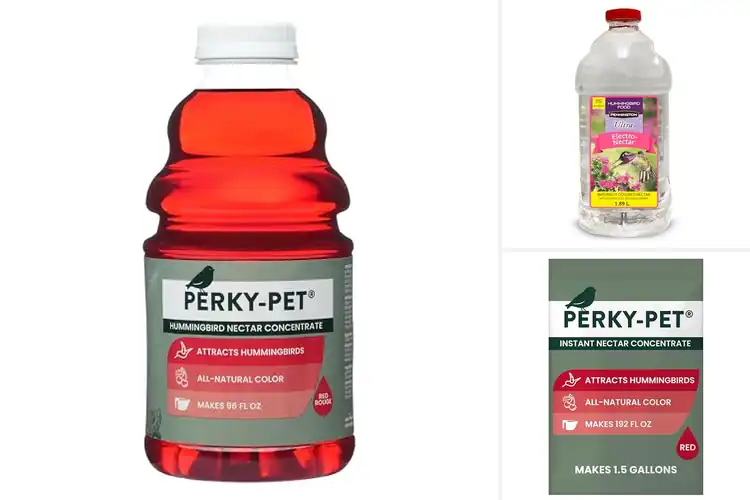 Detailed view of Best Hummingbird Nectars: Attract More Birds Fast