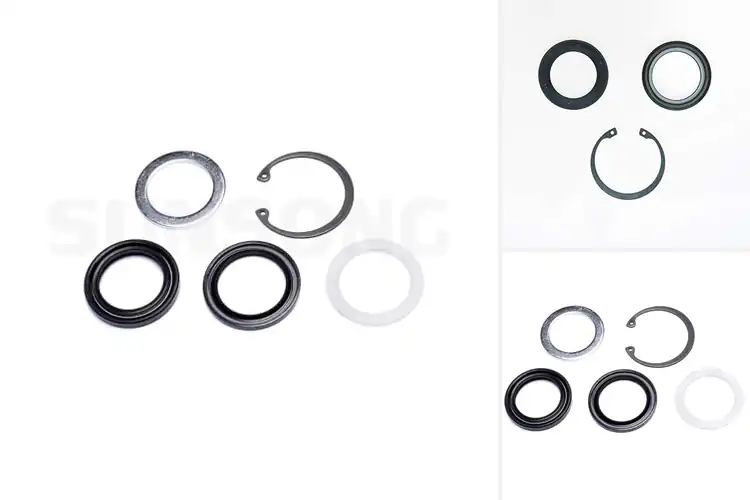 Detailed view of Best Lower Gear Pitman Shaft Seal Kits