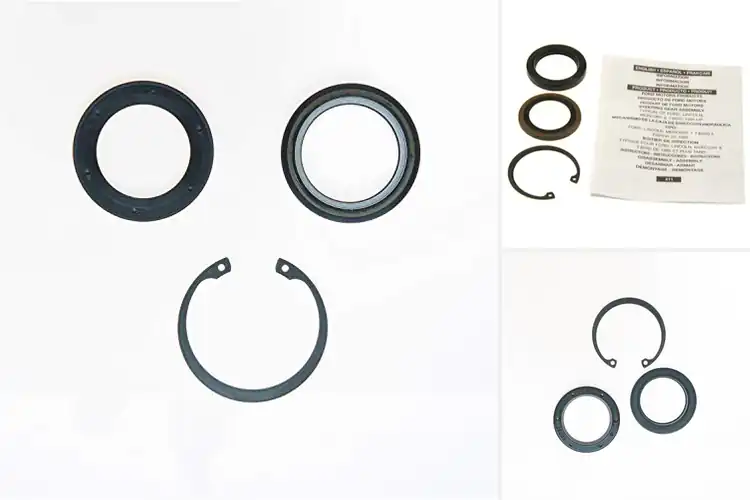 Detailed view of Best Lower Gear Pitman Shaft Seal