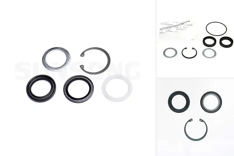 Detailed view of Best Lower Steering Gear Pitman Shaft Seal Kit
