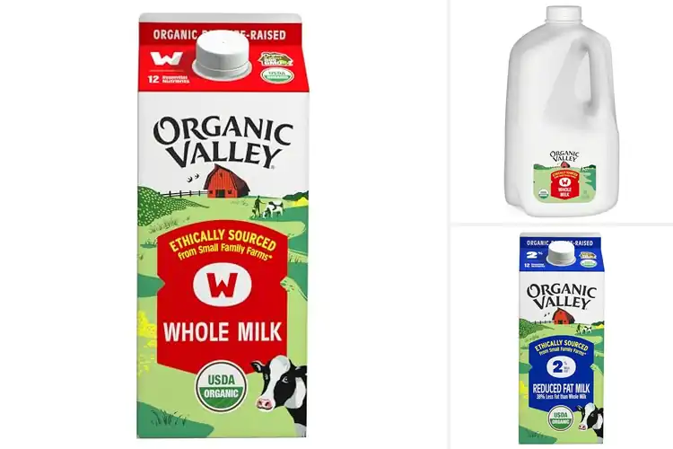 Detailed view of Best Non GMO Milk: Top Picks for Health-Conscious Consumers