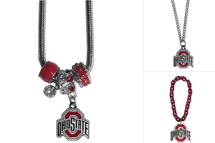 Detailed view of Best Ohio State Buckeyes Bead Necklaces