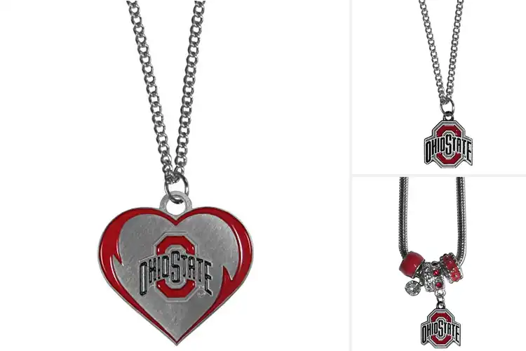 Detailed view of Best Ohio State Buckeyes Team Color Necklace