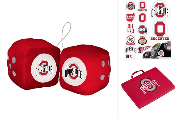Detailed view of Best Ohio State Team Color Accessories