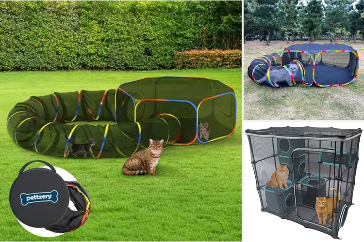 Detailed view of Best Outdoor Cat Enclosures: Top 10 Safe & Fun Picks