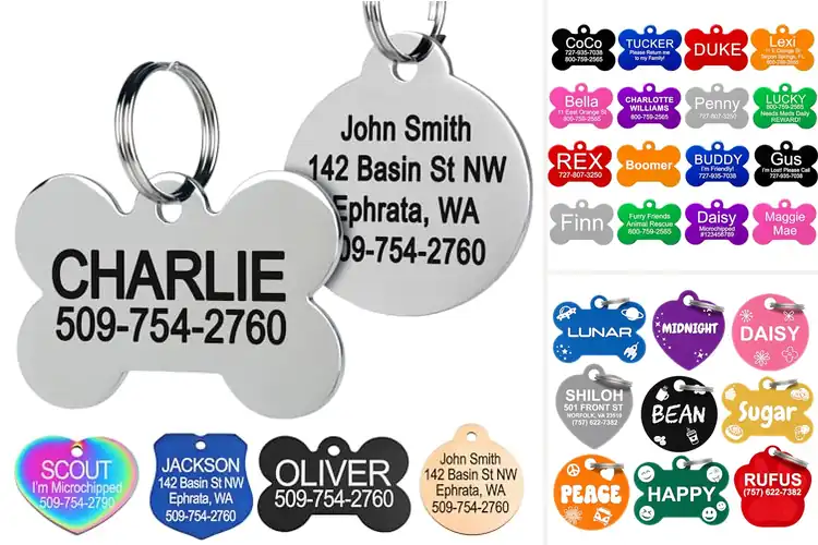 Detailed view of Best Personalized Pet Tags: Top 10 Stylish & Safe Options