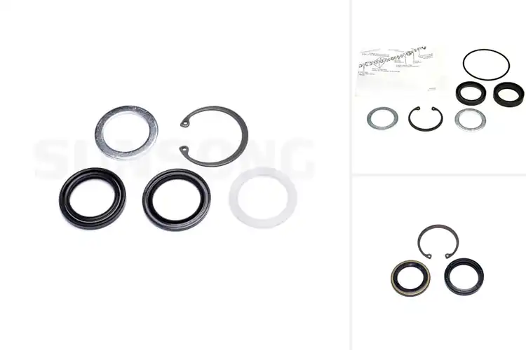 Detailed view of Best Pitman Shaft Seal Kit