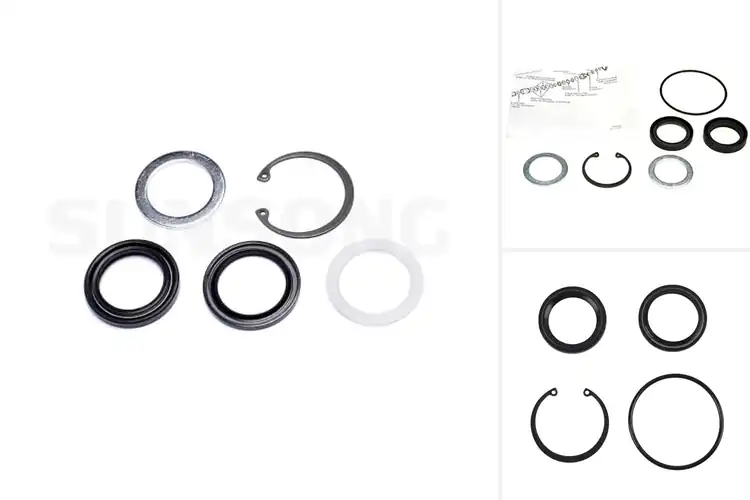 Detailed view of Best Pitman Shaft Seal Kits