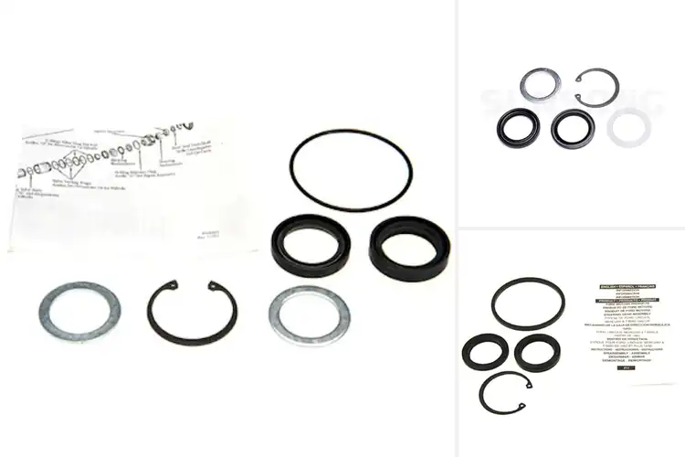 Detailed view of Best Power Steering Pitman Shaft Seal Kits