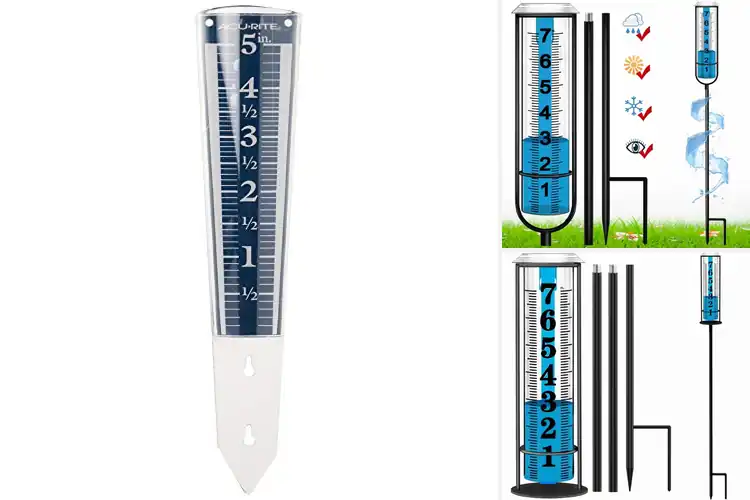 Detailed view of Best Rain Gauges