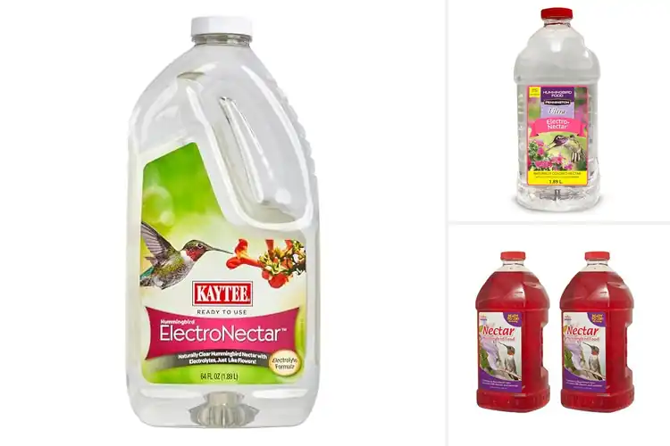 Detailed view of Best Ready To Use Nectars: Attract Hummingbirds Effortlessly