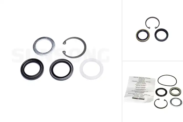 Detailed view of Best Steering Gear Pitman Shaft Seal Kits